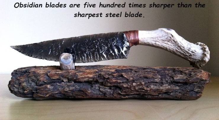 Knife - Obsidian blades are five hundred times sharper than the sharpest steel blade.
