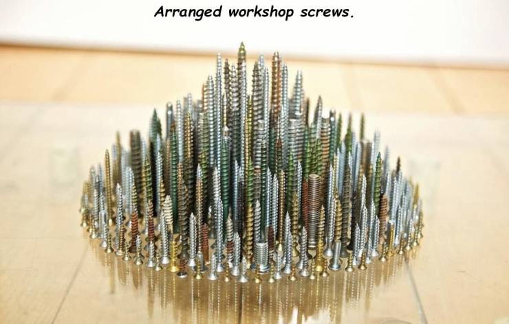 Arranged workshop screws.