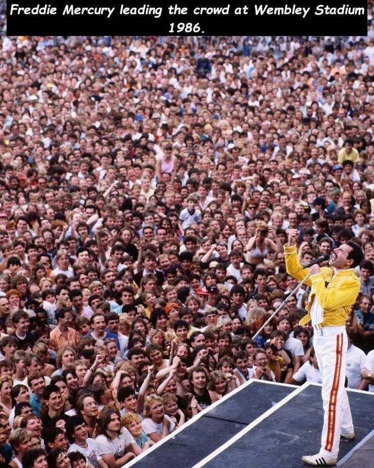 freddie mercury wembley crowd - Freddie Mercury leading the crowd at Wembley Stadium 1986.