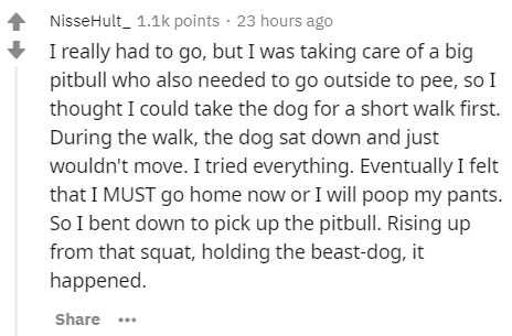 handwriting - NisseHult_ points 23 hours ago I really had to go, but I was taking care of a big pitbull who also needed to go outside to pee, so I thought I could take the dog for a short walk first. During the walk, the dog sat down and just wouldn't mov