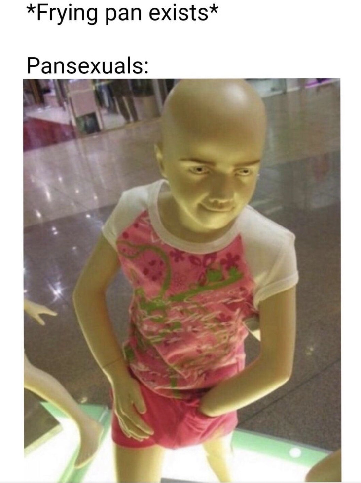 dark humor memes - frying pan exists pansexuals