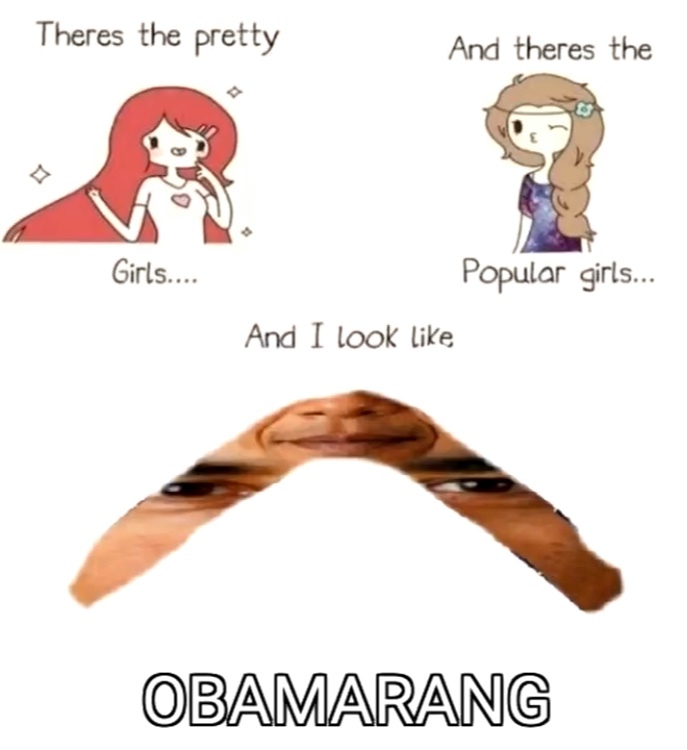 dark humor memes - there's the pretty girls and there's the popular girls and I look like obamarang