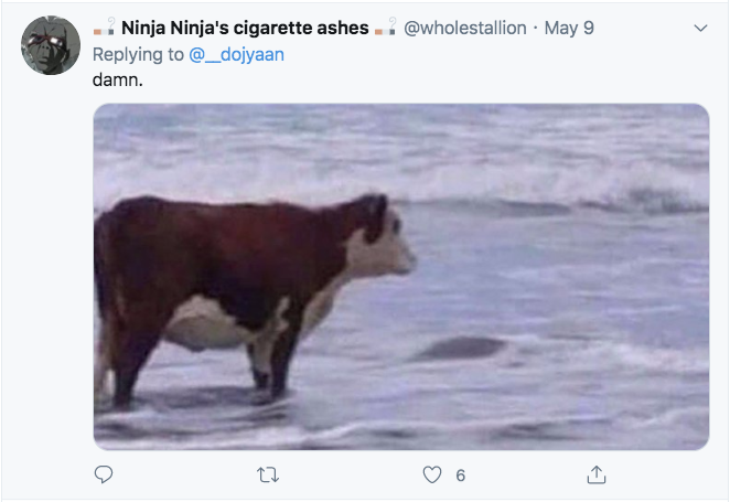 may be stupid meme - Ninja Ninja's cigarette ashes . . May 9 damn. 6