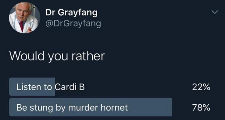 presentation - Dr Grayfang Would you rather Listen to Cardi B 22% Be stung by murder hornet 78%