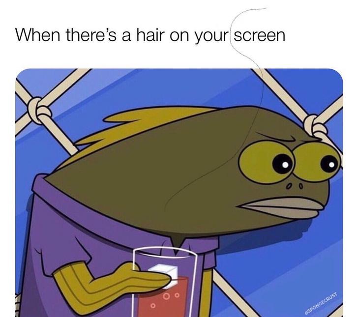 there's a hair on your screen - When there's a hair on your screen Ospongecrust