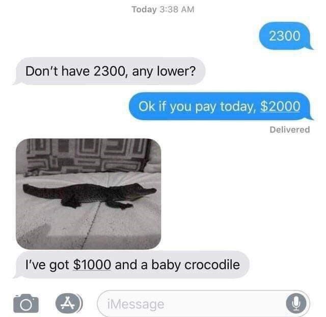 secret ingredient is crime meme - Today 2300 Don't have 2300, any lower? Ok if you pay today, $2000 Delivered 2 I've got $1000 and a baby crocodile iMessage