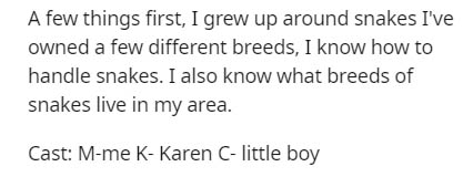 document - A few things first, I grew up around snakes I've owned a few different breeds, I know how to handle snakes. I also know what breeds of snakes live in my area. Cast Mme KKaren Clittle boy