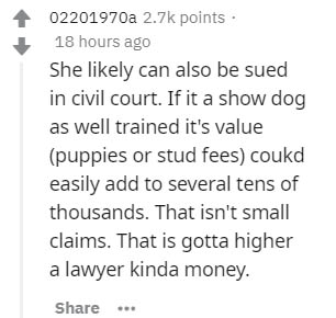 handwriting - 02201970a points 18 hours ago She ly can also be sued in civil court. If it a show dog as well trained it's value puppies or stud fees coukd easily add to several tens of thousands. That isn't small claims. That is gotta higher a lawyer kind