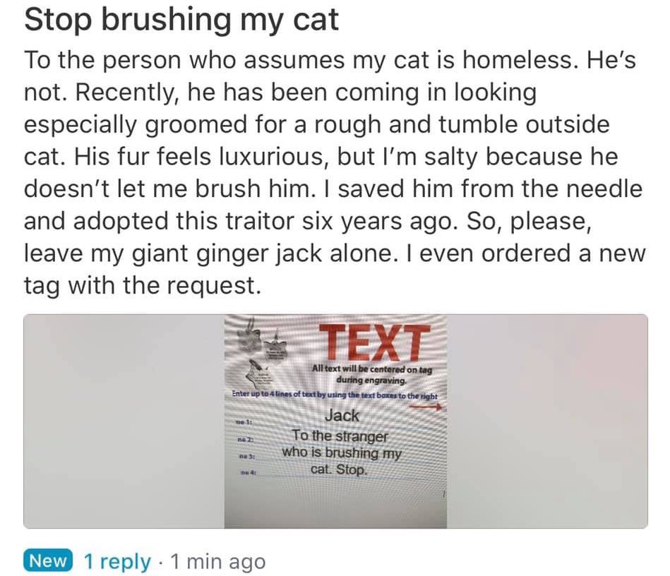 bad neighbors - Stop brushing my cat To the person who assumes my cat is homeless. He's not. Recently, he has been coming in looking especially groomed for a rough and tumble outside cat. His fur feels luxurious, but I'm salty because he doesn't let me br