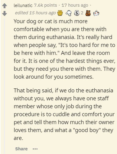 insider secrets - document - leilunatic points 17 hours ago edited 15 hours ago 3 32 Your dog or cat is much more comfortable when you are there with them during euthanasia. It's really hard when people say,