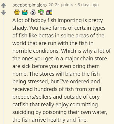 document - beepborpimajorp points 5 days ago A lot of hobby fish importing is pretty shady. You have farms of certain types of fish bettas in some areas of the world that are run with the fish in horrible conditions. Which is why a lot of the ones you get