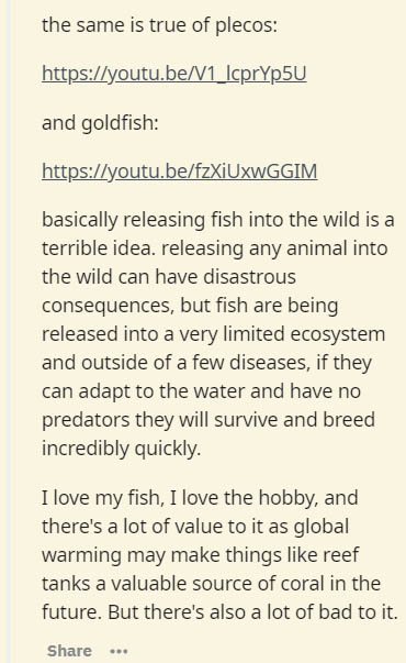 document - the same is true of plecos IcprYp5U and goldfish basically releasing fish into the wild is a terrible idea. releasing any animal into the wild can have disastrous consequences, but fish are being released into a very limited ecosystem and outsi