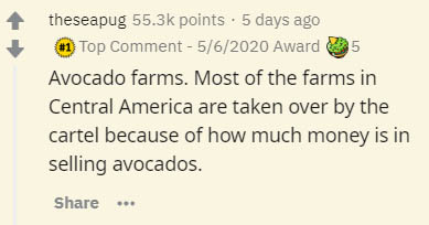 document - theseapug points. 5 days ago Top Comment 562020 Award 35 Avocado farms. Most of the farms in Central America are taken over by the cartel because of how much money is in selling avocados.