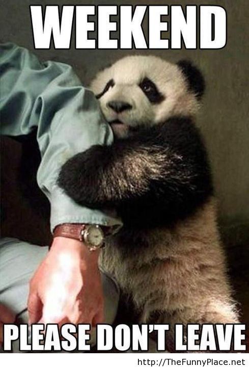 funny sunday memes - cute baby panda - Weekend Please Don'T Leave