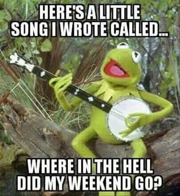 funny sunday memes - kermit frog banjo singing Here'S A Little Song I Wrote Called.. Where In The Hell Did My Weekend Go?