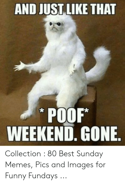 funny sunday memes - And Just That Poof Weekend. Gone.