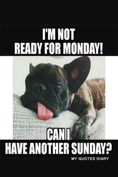funny sunday memes - I'M Not Ready For Monday! Can I Have Another Sunday?