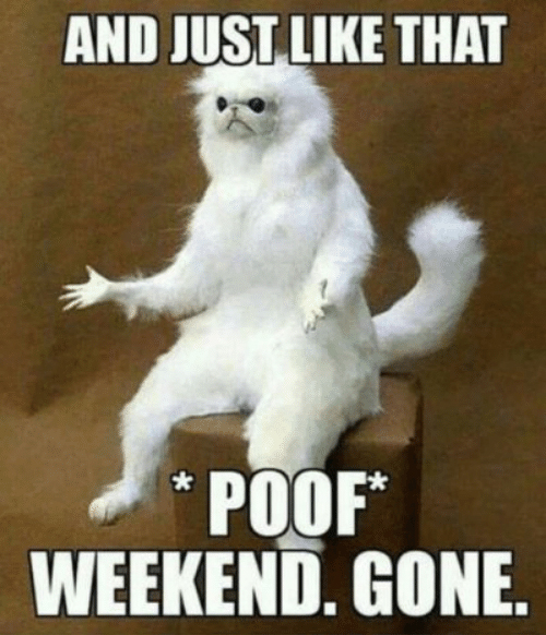 funny sunday memes - And Just like That Poof Weekend. Gone.