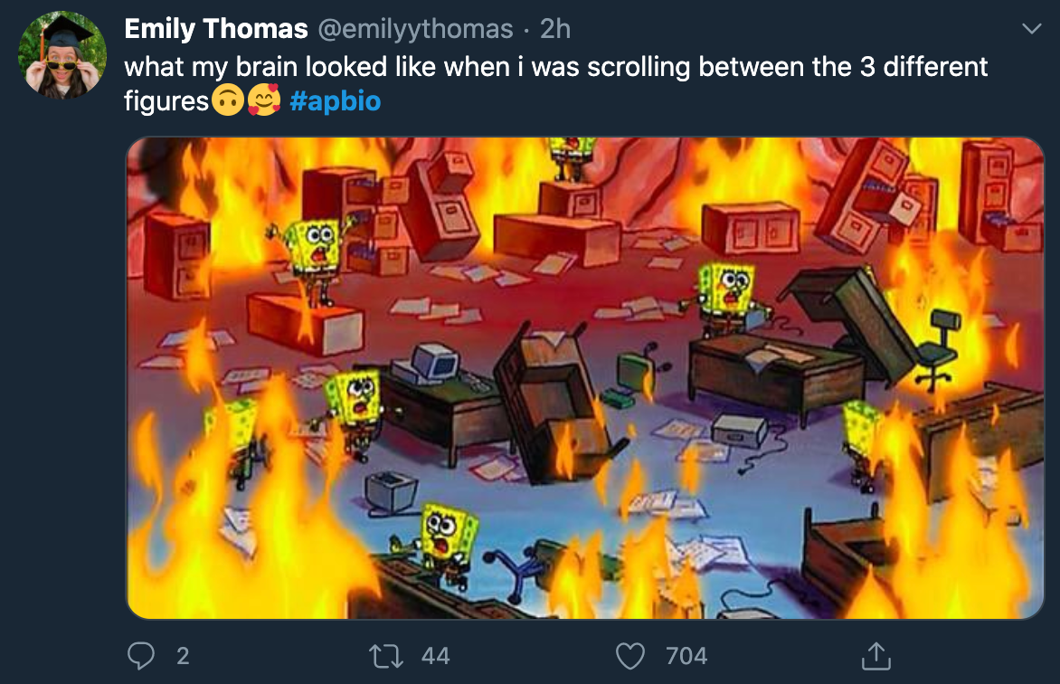 ap bio 2020 - sponge bob fire - Emily Thomas . 2h what my brain looked when i was scrolling between the 3 different figures 29 5 O2 27 44 704