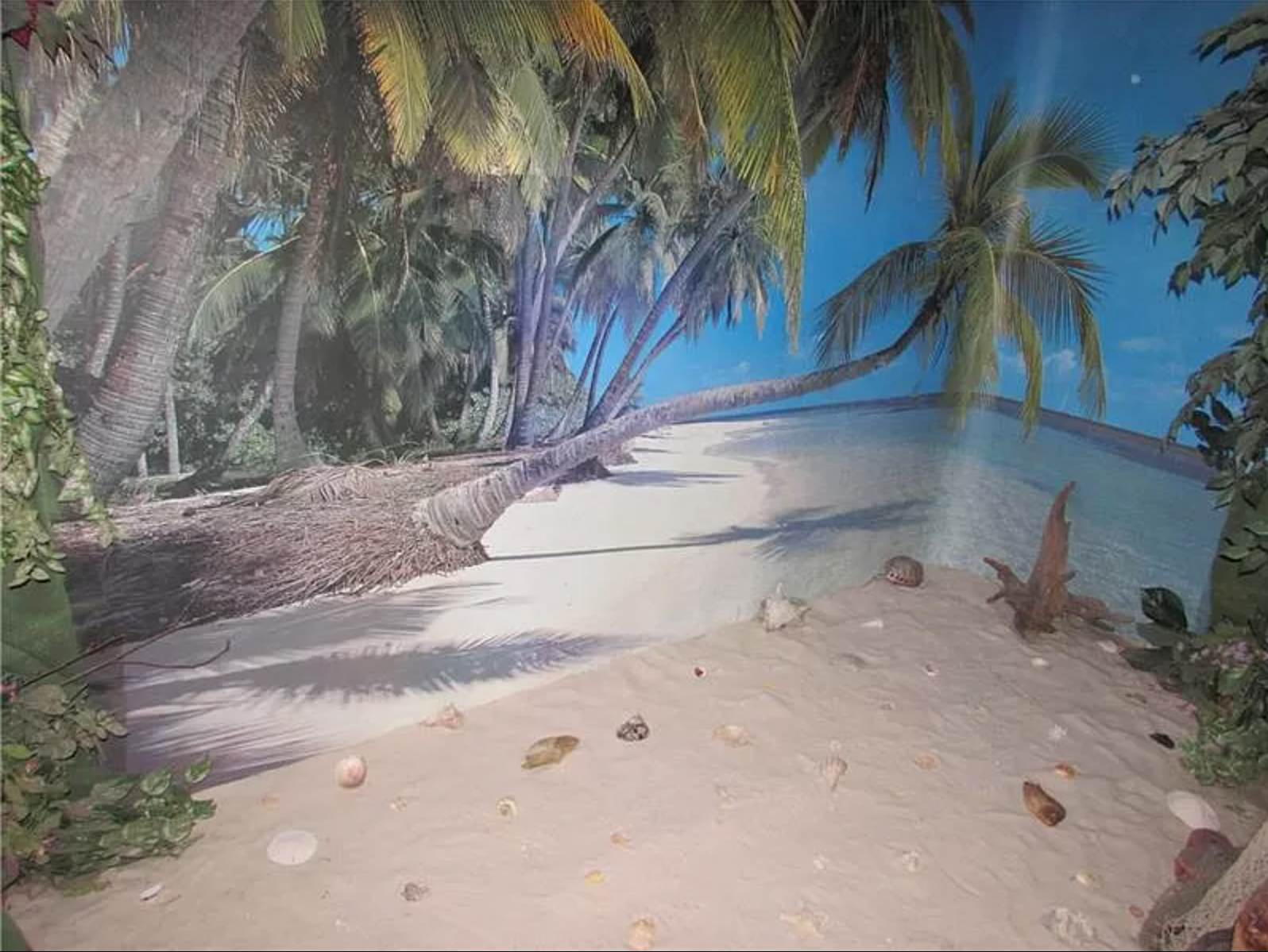sand beach themed room in house with tropical wallpaper