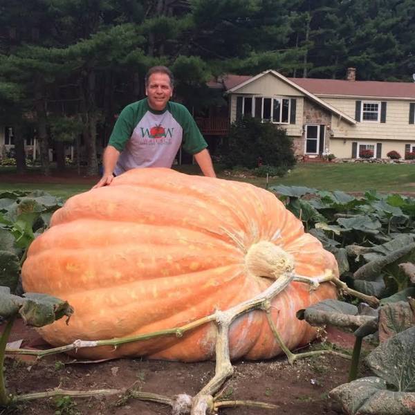 giant pumpkin - Mom