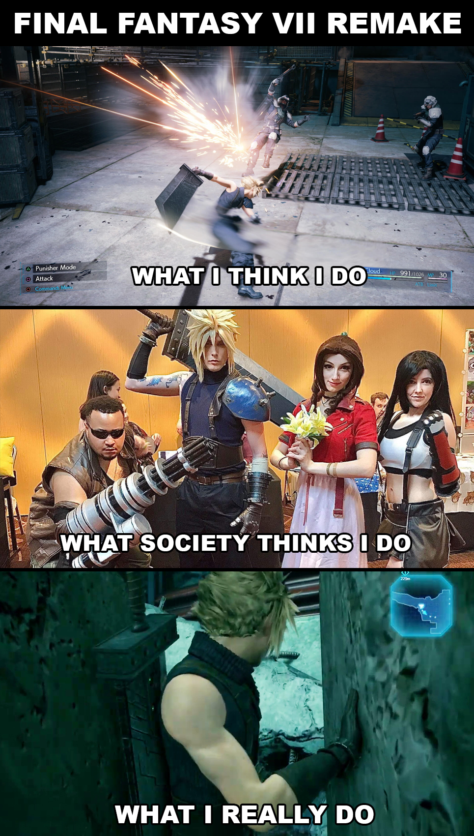 gaming memes video game memes - Final Fantasy Vii Remake What I Think I Do What What Society Thinks I Do What I Really Do