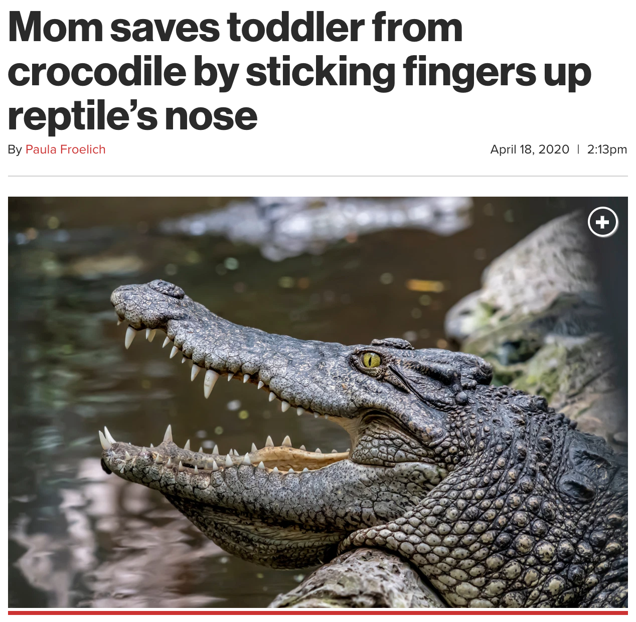 Mom saves toddler from crocodile by sticking fingers up reptile's nose