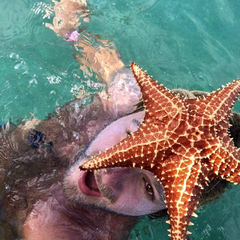 Enjoy A Batch Of 36 Pics With No Relevance Intended Funny Gallery 