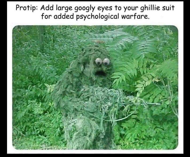 silly war - Protip Add large googly eyes to your ghillie suit for added psychological warfare.