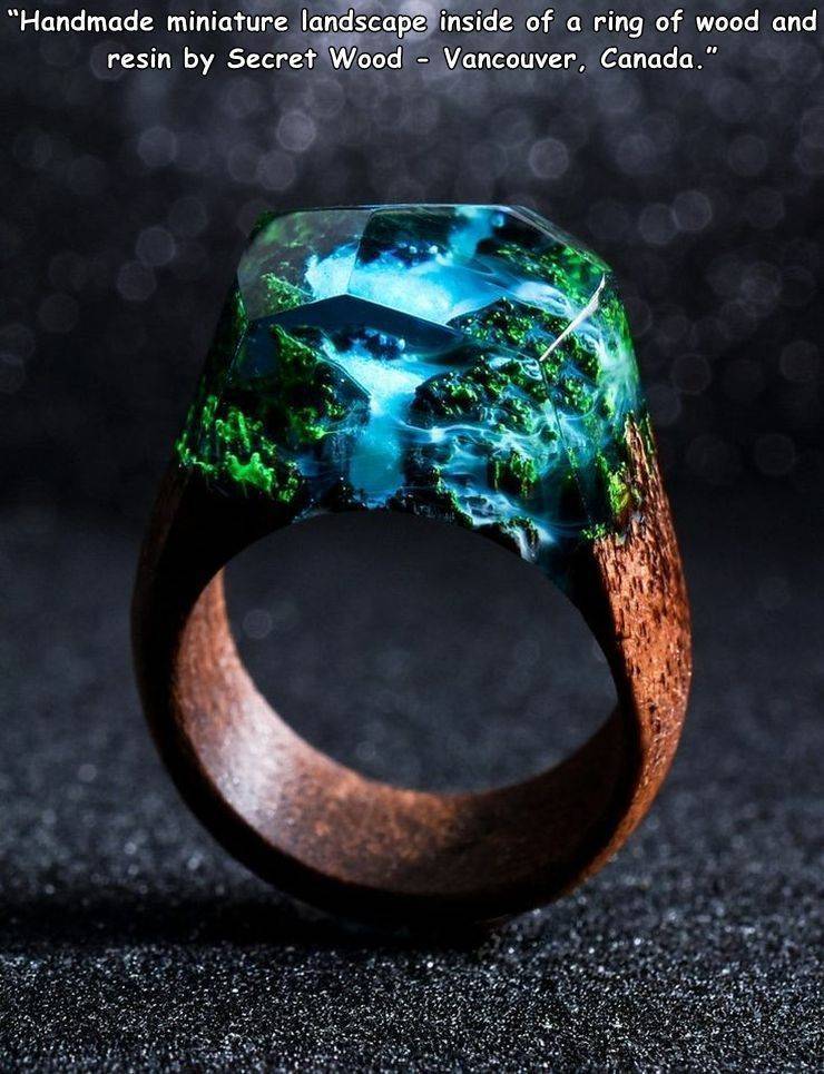 Ring - "Handmade miniature landscape inside of a ring of wood and resin by Secret Wood Vancouver, Canada."