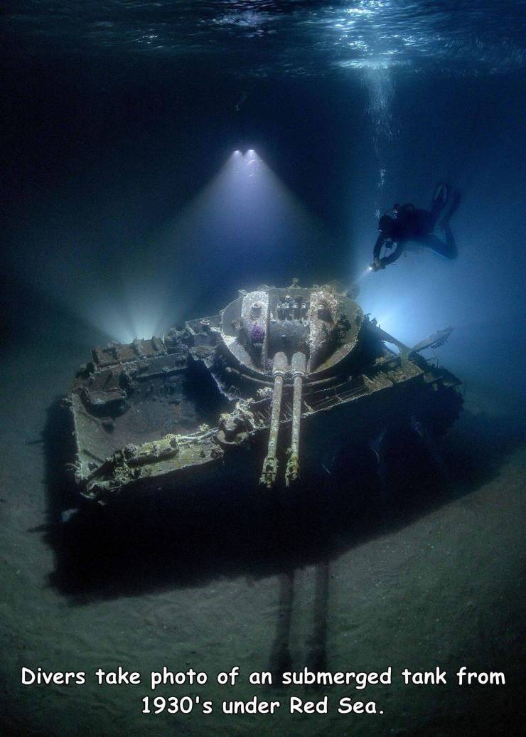 scuba diving aesthetic - Divers take photo of an submerged tank from 1930's under Red Sea.