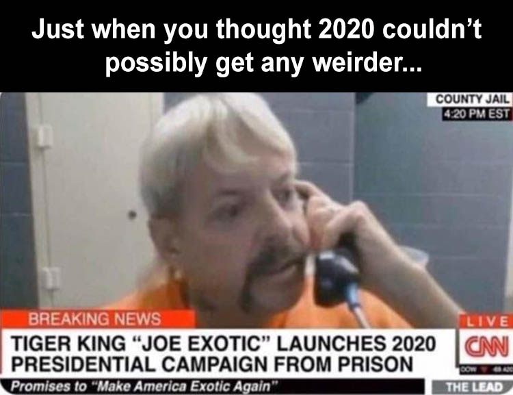 photo caption - Just when you thought 2020 couldn't possibly get any weirder... County Jail Est Live Breaking News Tiger King Joe Exotic Launches 2020 Cm Presidential Campaign From Prison Promises to "Make America Exotic Again" Dow The Lead