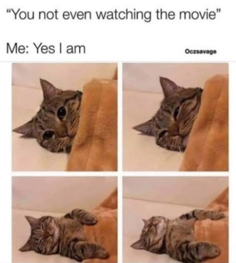 funny memes - you not even watching the movie. me: yes I am. cat falling asleep