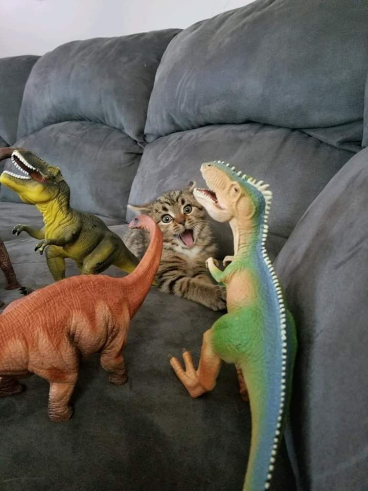 cat and dinosaur