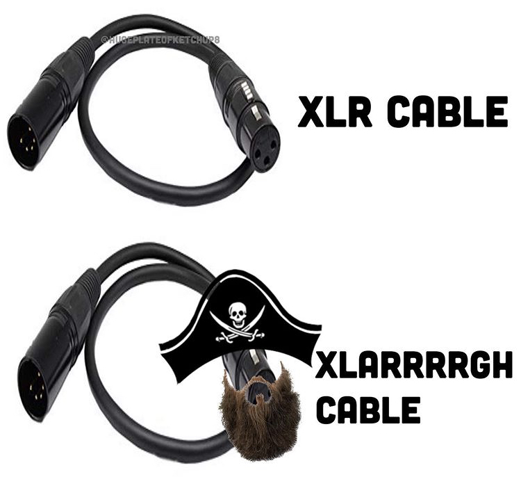 hugeplateofketchup8 jackson weimer pirate flag - Xlr Cable Xlarrrrgh Cable