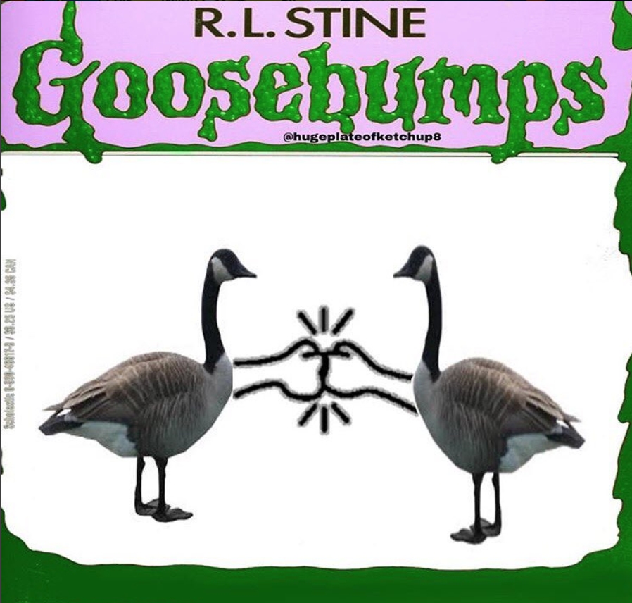 hugeplateofketchup8 jackson weimer goosebumps books - R.L. Stine Goosebumps Ww