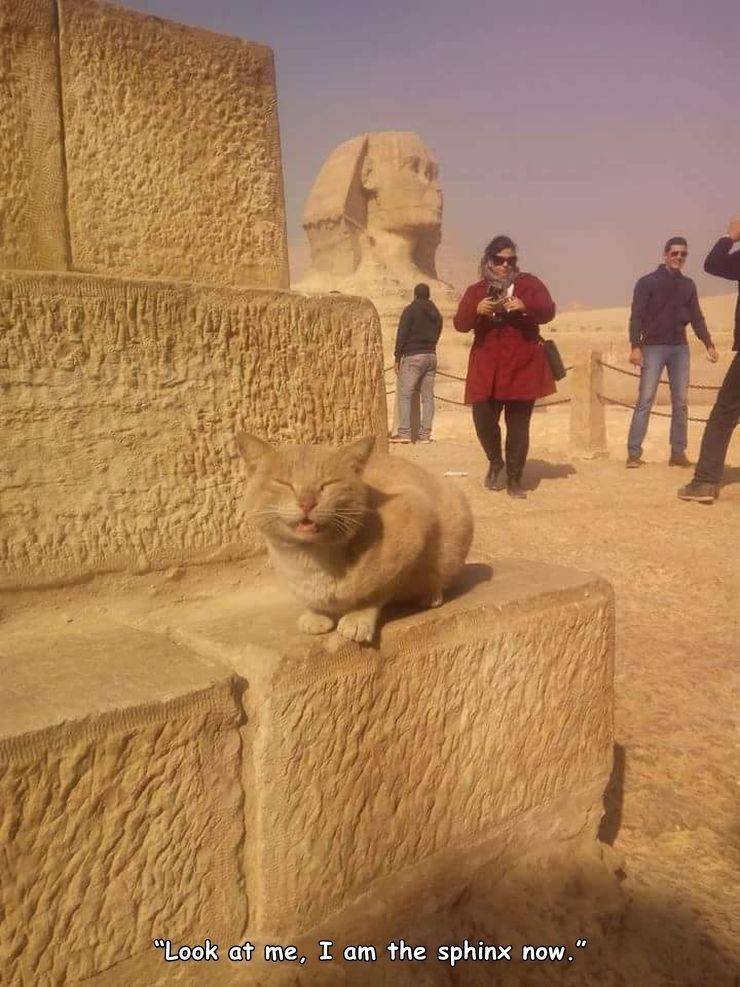 great sphinx of giza - "Look at me, I am the sphinx now."
