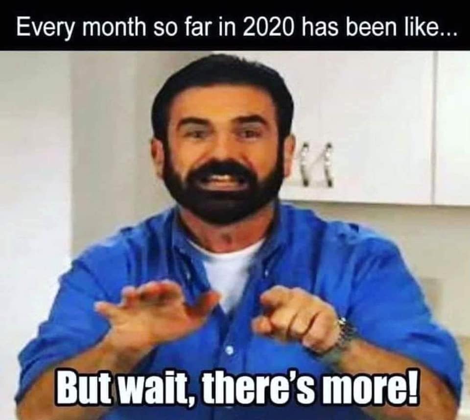 billy mays - Every month so far in 2020 has been ... But wait, there's more!