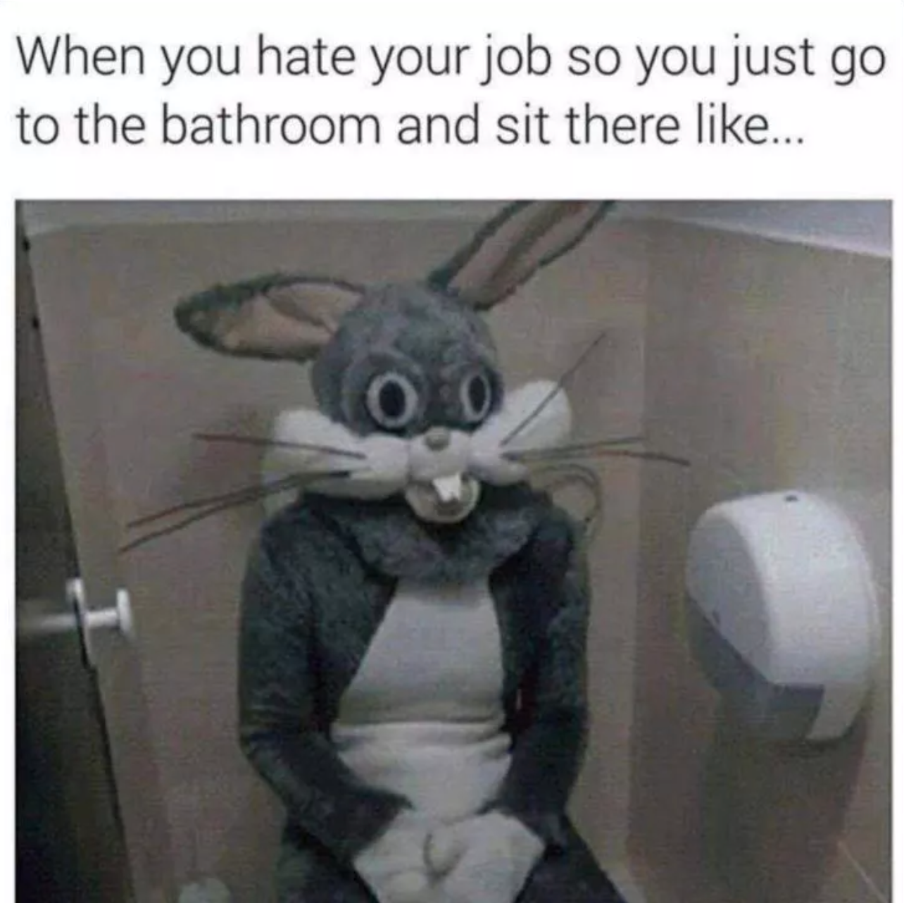 When you hate your job so you just go to the bathroom and sit there ...