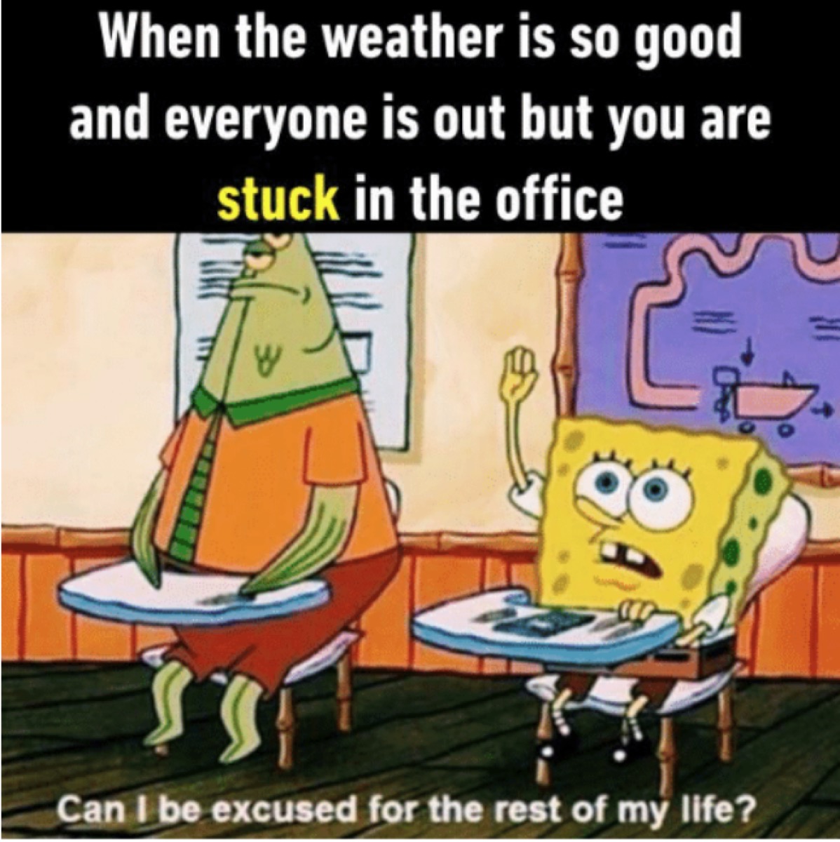 When the weather is so good and everyone is out but you are stuck in the office Can I be excused for the rest of my life?