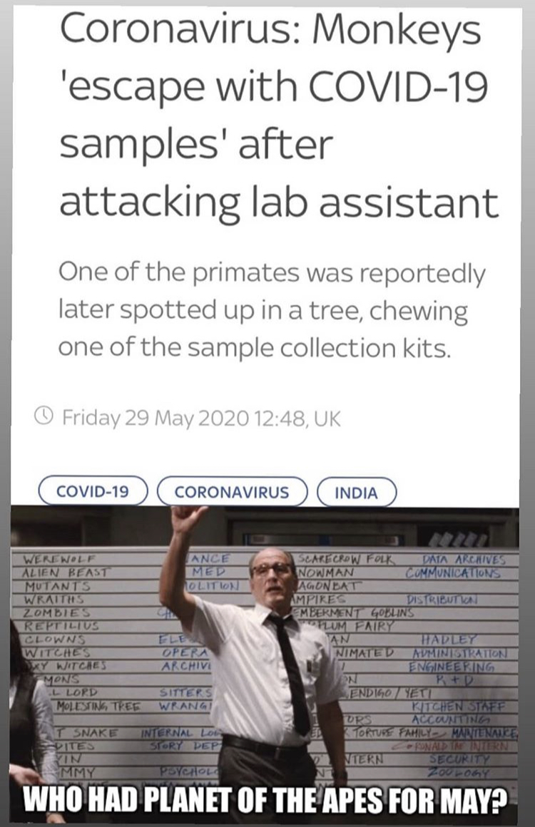 media - Coronavirus Monkeys 'escape with Covid19 samples' after attacking lab assistant One of the primates was reportedly later spotted up in a tree, chewing one of the sample collection kits. Friday , Uk Covid19 Coronavirus India Anime Will Vermont Aren