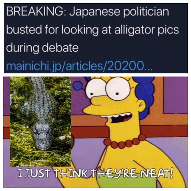 just think they re neat kirby - Breaking Japanese politician busted for looking at alligator pics during debate mainichi.jparticles20200. o I Just Think They'Re Neat!