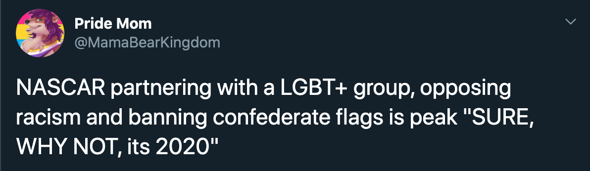 Nascar partnering with a Lgbt group, opposing racism and banning confederate flags is peak why not it's 2020