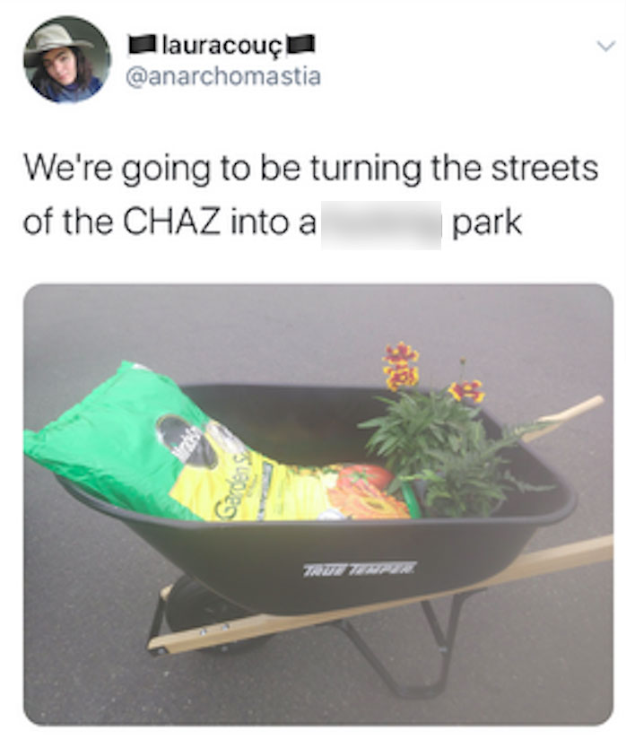 plastic - lauracouch We're going to be turning the streets of the Chaz into a park Gardens