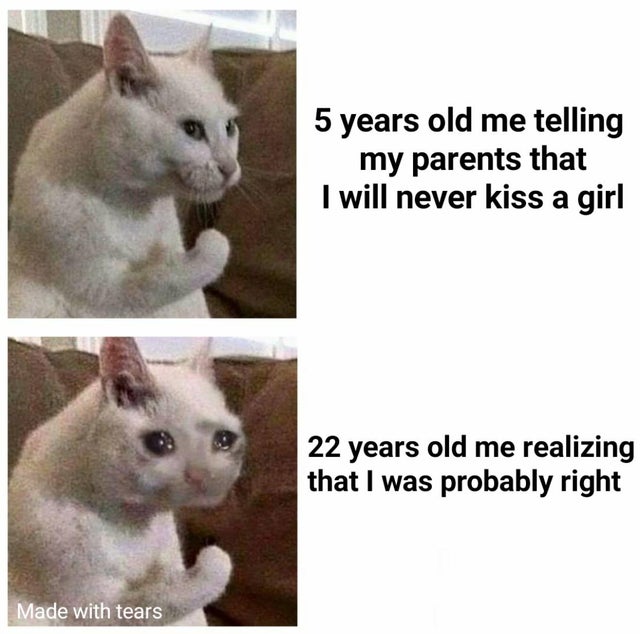 sad cat spicy meatball - 5 years old me telling my parents that I will never kiss a girl 22 years old me realizing that I was probably right Made with tears