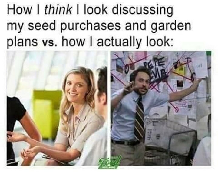 funny garden memes - conspiracy theory meme - How I think I look discussing my seed purchases and garden plans vs. how I actually look