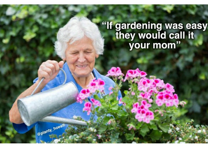 funny garden memes - senior citizen - "If gardening was easy they would call it your mom