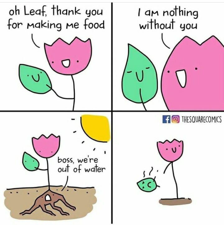 funny garden memes - oh Leaf, thank you for making me food I am nothing without you U f Thesquarecomics boss, we're out of water
