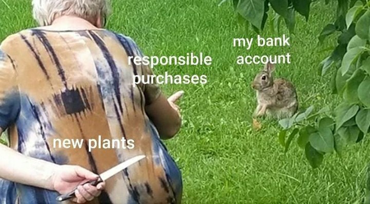 funny garden memes - bunny with knife - my bank account responsible purchases new plants