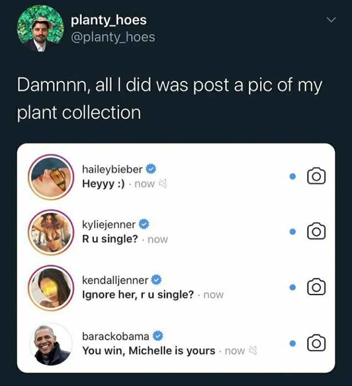 funny garden memes - screenshot - planty_hoes Damnnn, all I did was post a pic of my plant collection haileybieber Heyyy . now kyliejenner Ru single? .now O kendalljenner Ignore her, r u single? . now barackobama You win, Michelle is yours now